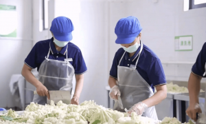 河南一地推出“妈妈食堂”，聘请160名家长到中小学帮厨，学校回应：招聘学生家长更年轻、更有干劲