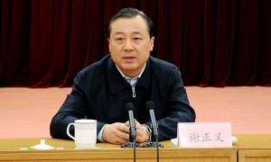 江苏省国资委主任谢正义被查，曾任扬州市委书记